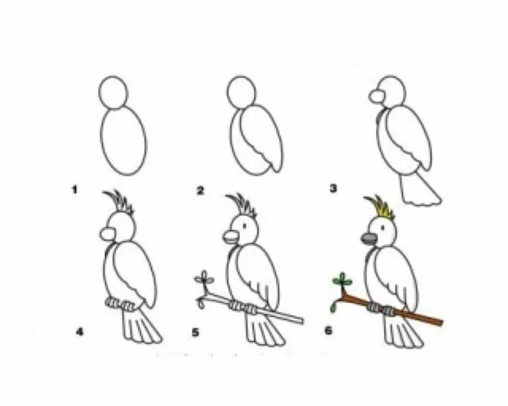 120 рисунков птиц для детей и взрослых #75