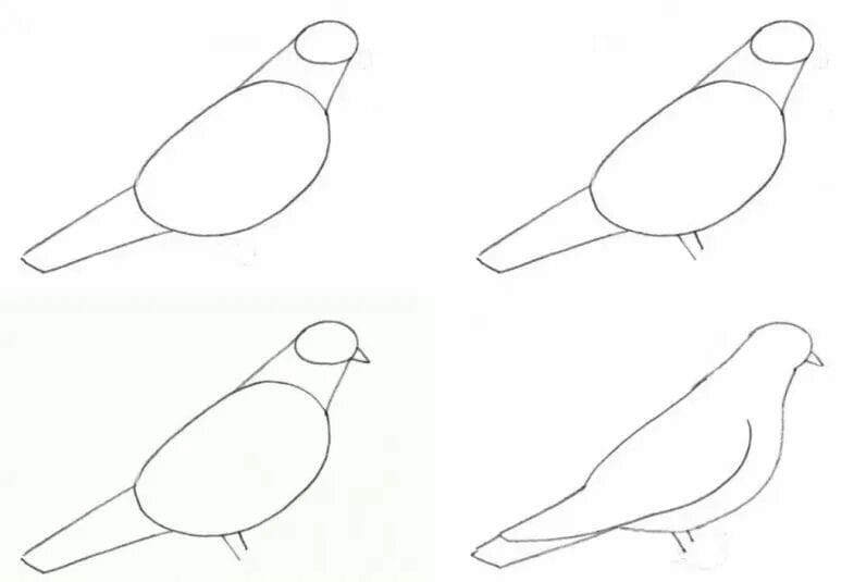 120 рисунков птиц для детей и взрослых #29