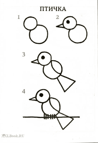 120 рисунков птиц для детей и взрослых #49