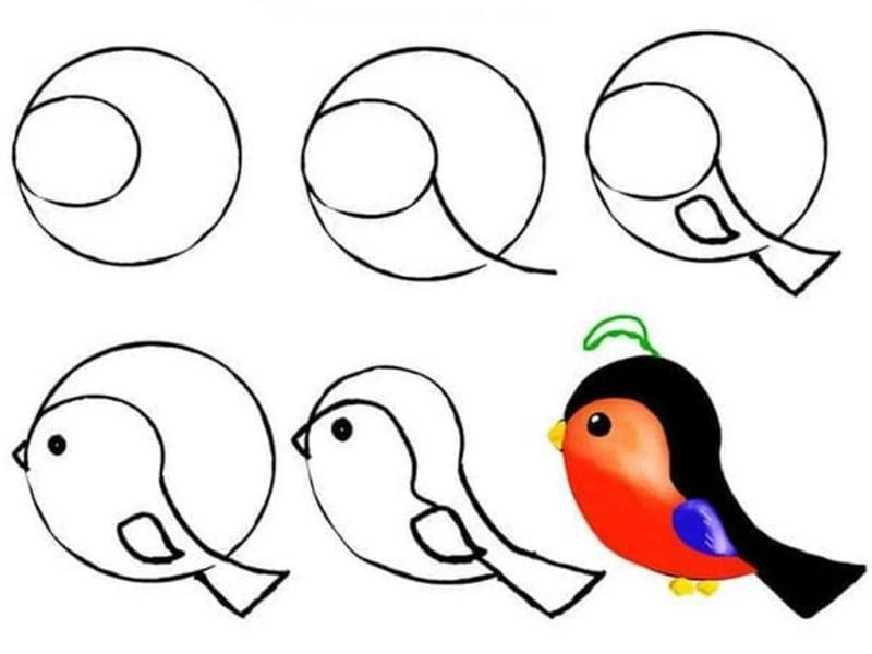120 рисунков птиц для детей и взрослых #36