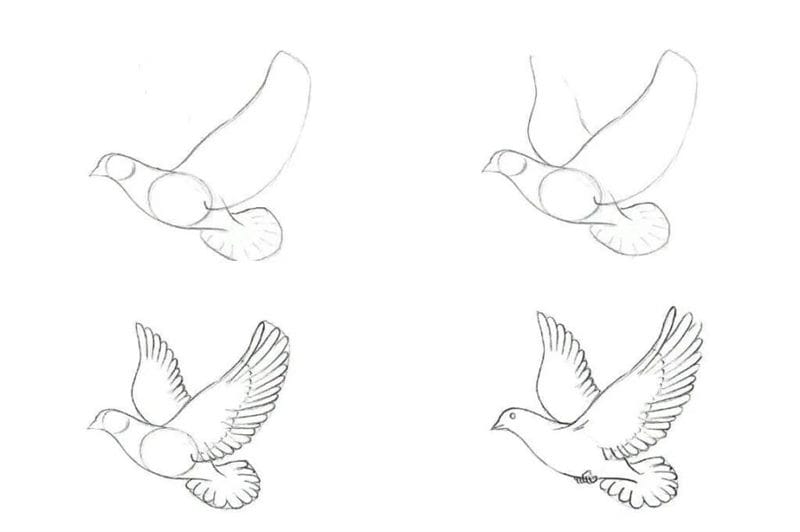 120 рисунков птиц для детей и взрослых #108