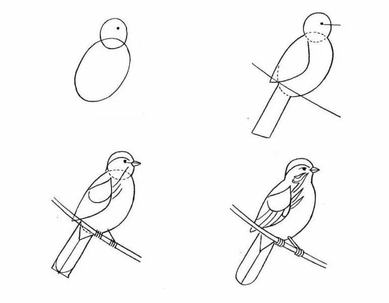 120 рисунков птиц для детей и взрослых #7