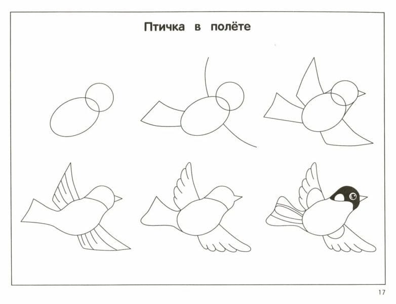 120 рисунков птиц для детей и взрослых #74