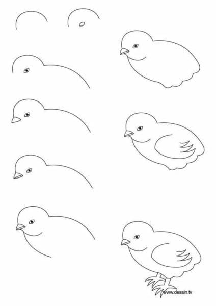 120 рисунков птиц для детей и взрослых #72
