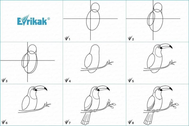 120 рисунков птиц для детей и взрослых #4