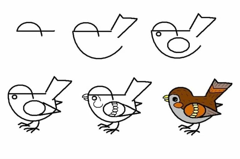 120 рисунков птиц для детей и взрослых #23