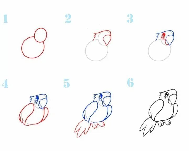 120 рисунков птиц для детей и взрослых #50