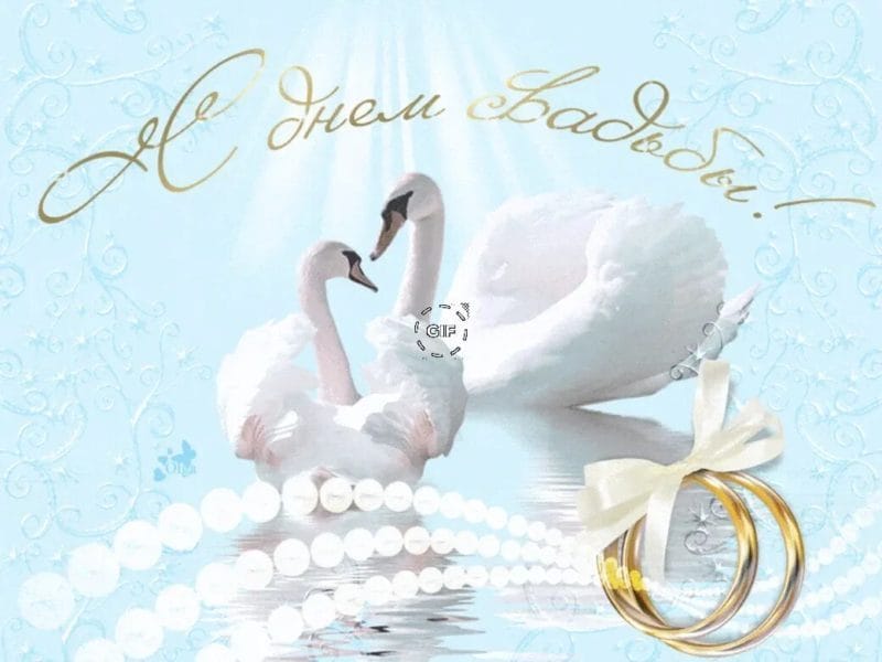 120 самых красивых открыток с днем свадьбы #8