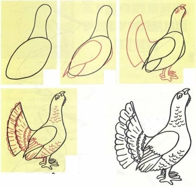 120 рисунков птиц для детей и взрослых #83