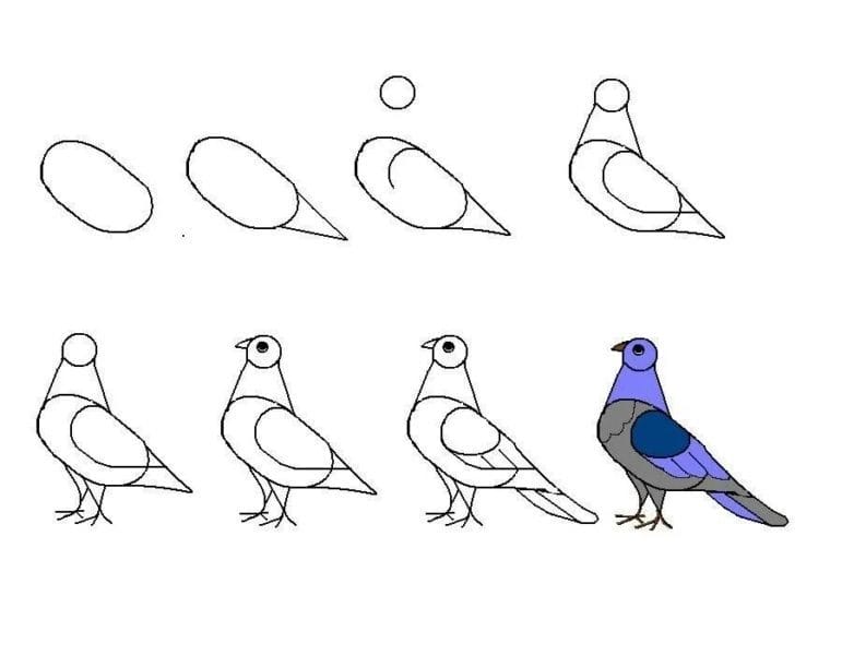 120 рисунков птиц для детей и взрослых #9