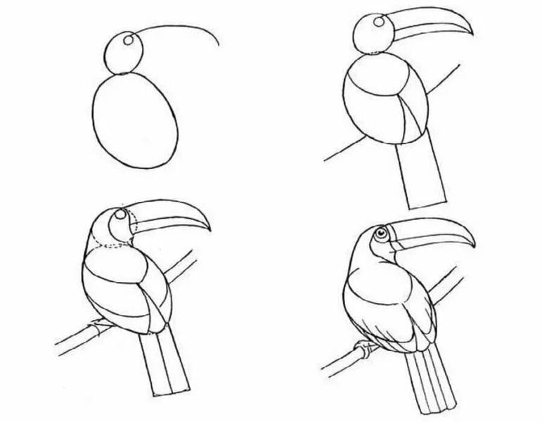 120 рисунков птиц для детей и взрослых #8