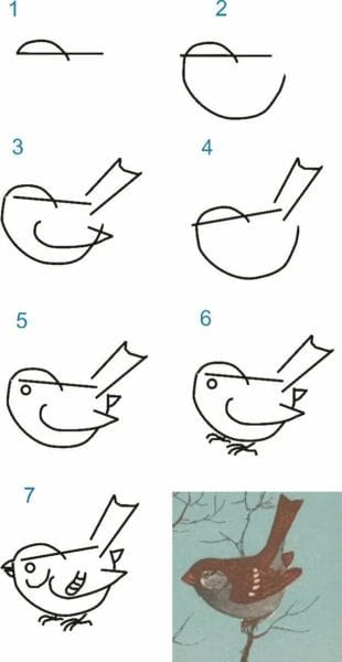 120 рисунков птиц для детей и взрослых #98
