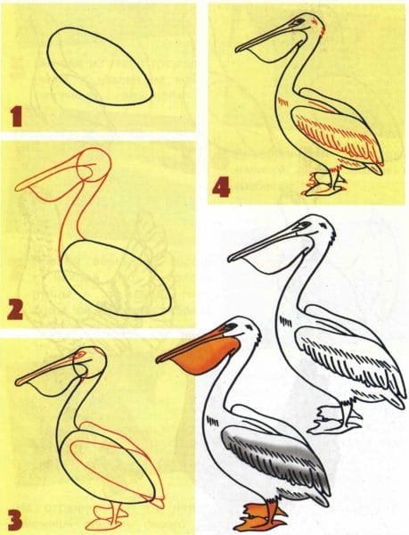 120 рисунков птиц для детей и взрослых #69