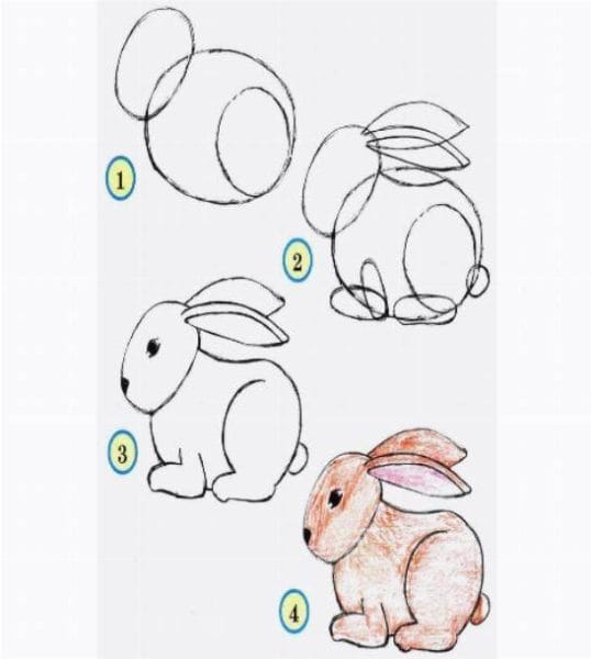 200 картинок и рисунков с зайцем или кроликом #16