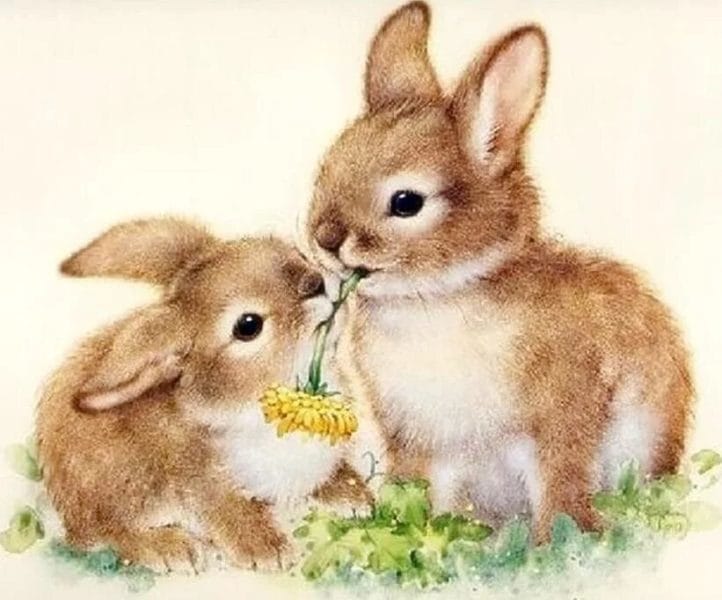 200 картинок и рисунков с зайцем или кроликом #112