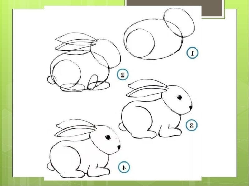 200 картинок и рисунков с зайцем или кроликом #89