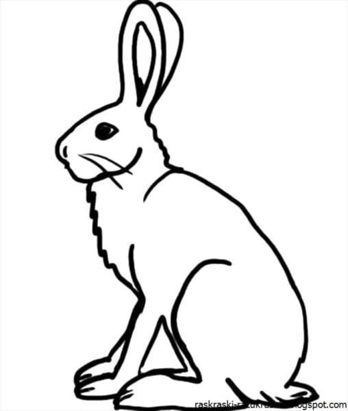 200 картинок и рисунков с зайцем или кроликом #8