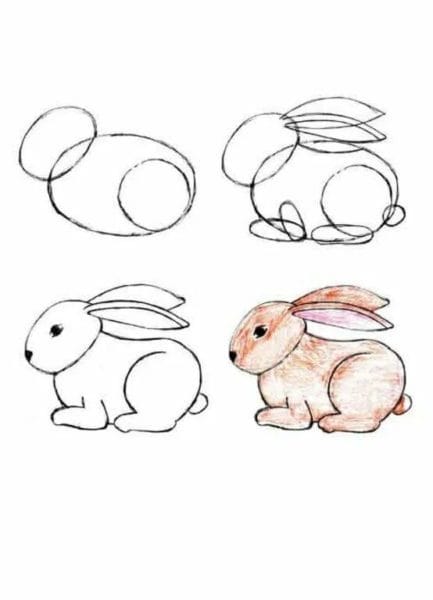 200 картинок и рисунков с зайцем или кроликом #18