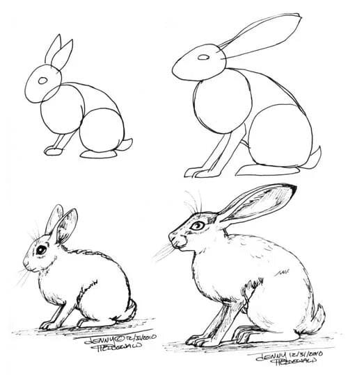 200 картинок и рисунков с зайцем или кроликом #13