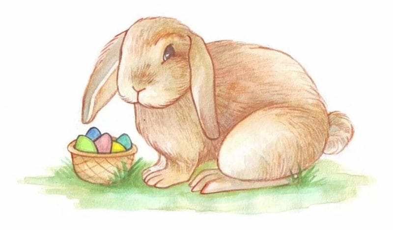 200 картинок и рисунков с зайцем или кроликом #65
