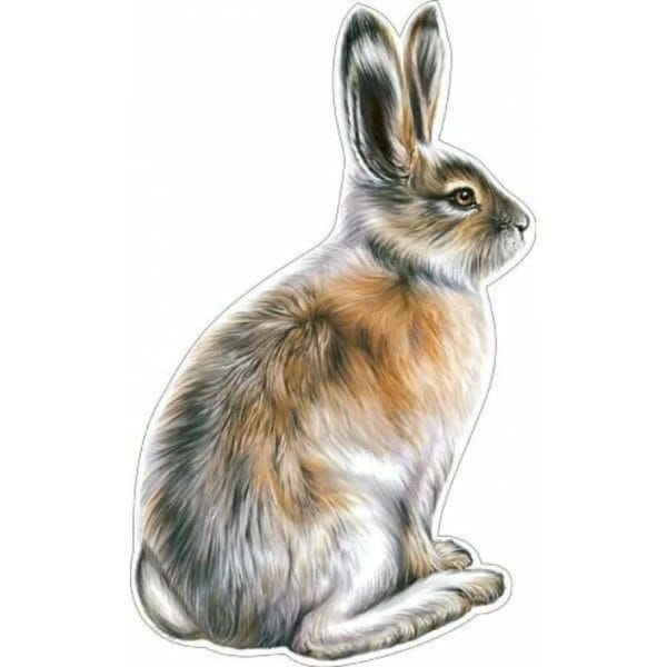 200 картинок и рисунков с зайцем или кроликом #83