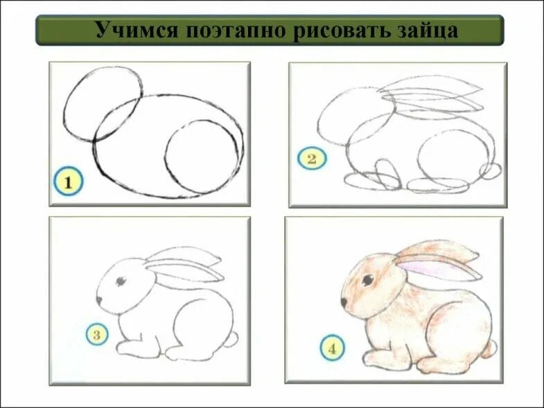 200 картинок и рисунков с зайцем или кроликом #50