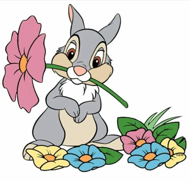 200 картинок и рисунков с зайцем или кроликом #79