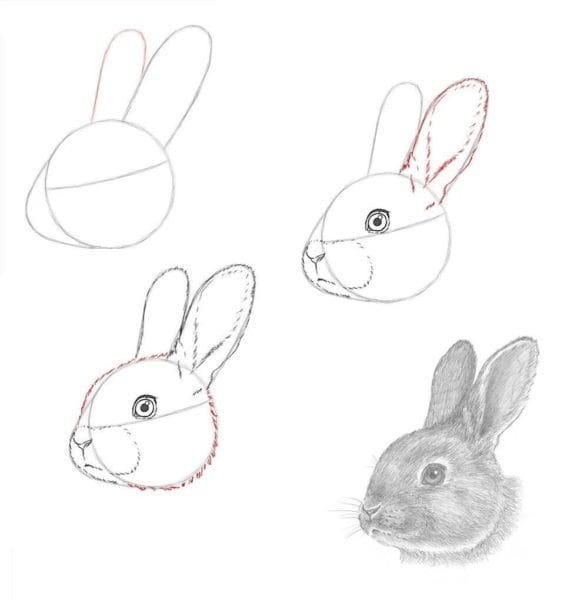 200 картинок и рисунков с зайцем или кроликом #88