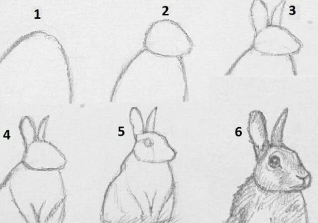 200 картинок и рисунков с зайцем или кроликом #4