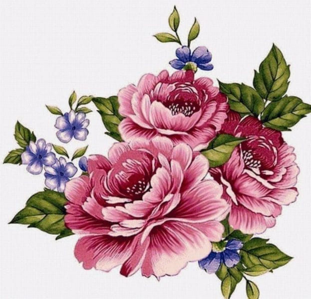 100 рисунков красивых цветов #12