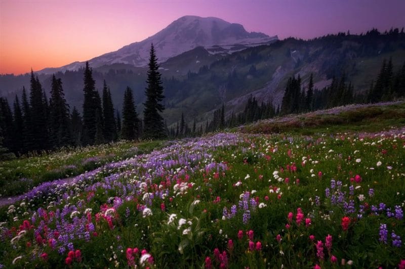 Горы: 125 самых красивых картинок #105