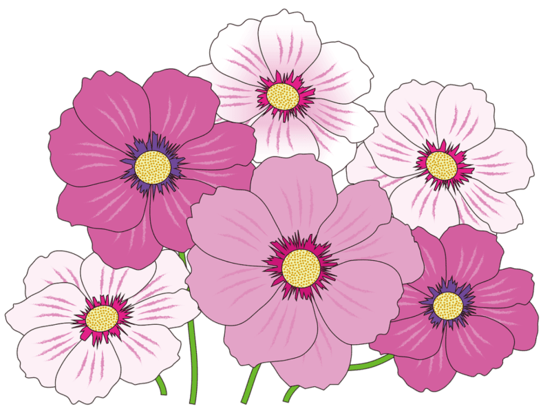 100 рисунков красивых цветов #75