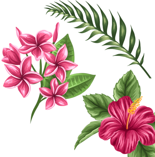 100 рисунков красивых цветов #49