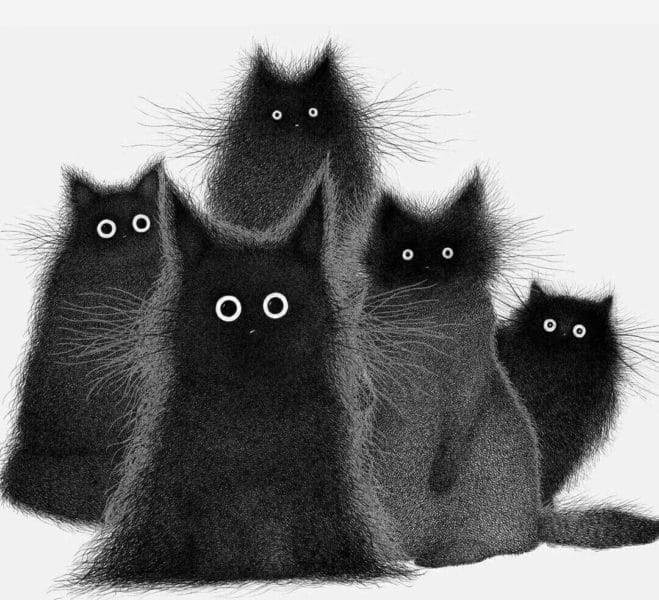 120 картинок с черными котами и котятами #70