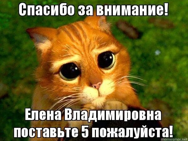 Поставьте пять. Спасибо за внимание Наталья Владимировна поставьте 5. Спасибо за внимание кот из Шрека поставьте 5. Мем поставьте 5 пожалуйста. Спасибо за внимание Мем кот из Шрека.