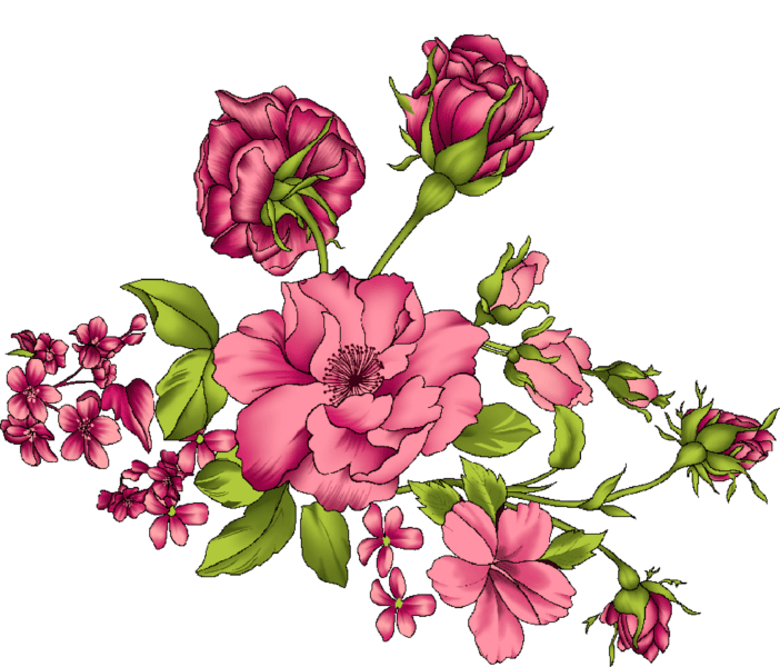 100 рисунков красивых цветов #3