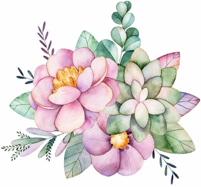 100 рисунков красивых цветов #92