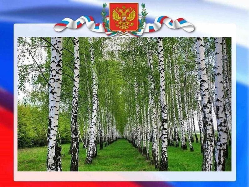 Моя Родина – Россия: 65 картинок #14
