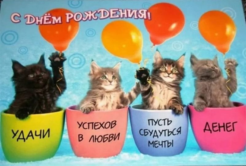 С днем рождения! 100 милых открыток с котиками #95