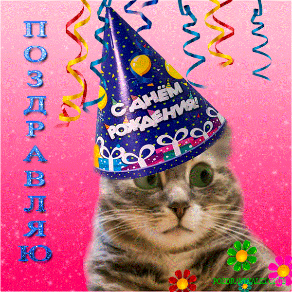 С днем рождения! 100 милых открыток с котиками #52