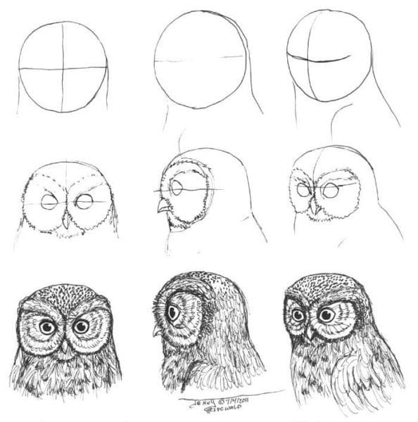 Как рисовать сову: 75 лучших рисунков карандашами и не только #15
