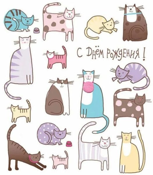 С днем рождения! 100 милых открыток с котиками #83