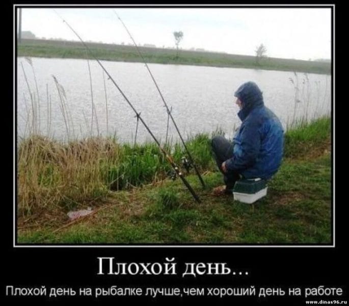 Приколы про рыбалку: 55 смешных фото #25