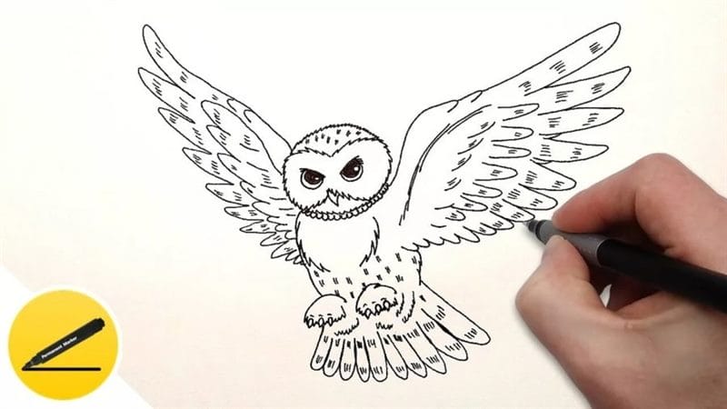 Как рисовать сову: 75 лучших рисунков карандашами и не только #17
