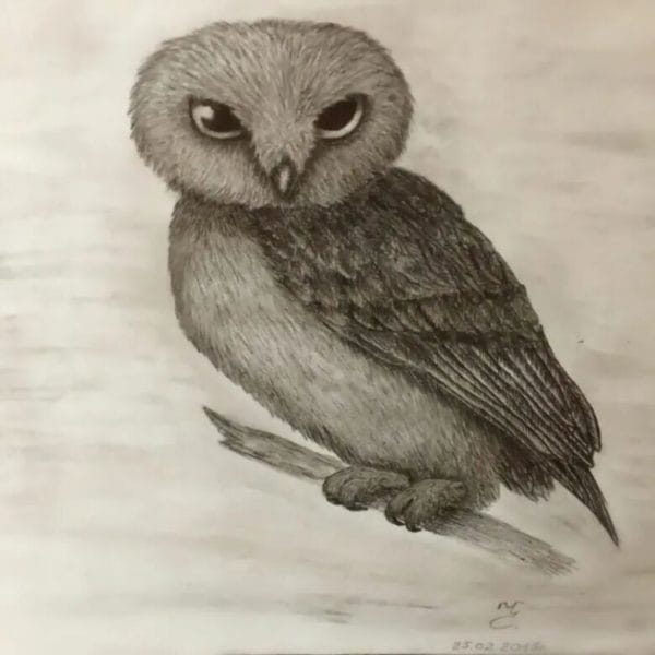 Как рисовать сову: 75 лучших рисунков карандашами и не только #22