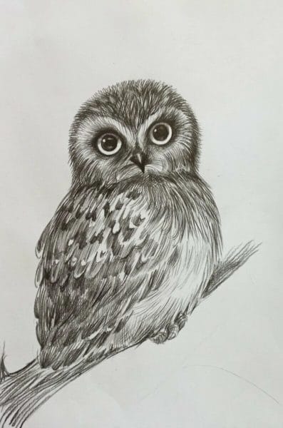 Как рисовать сову: 75 лучших рисунков карандашами и не только #30