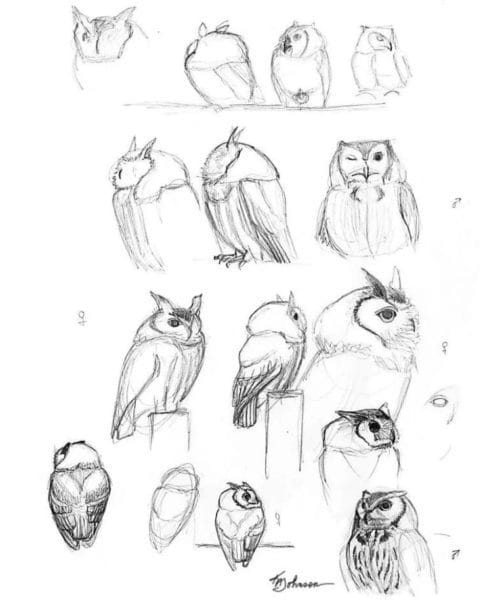 Как рисовать сову: 75 лучших рисунков карандашами и не только #45