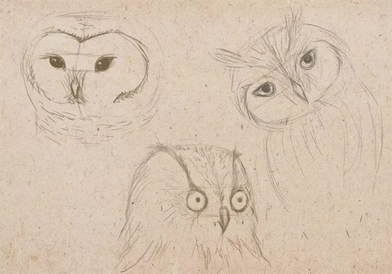 Как рисовать сову: 75 лучших рисунков карандашами и не только #51