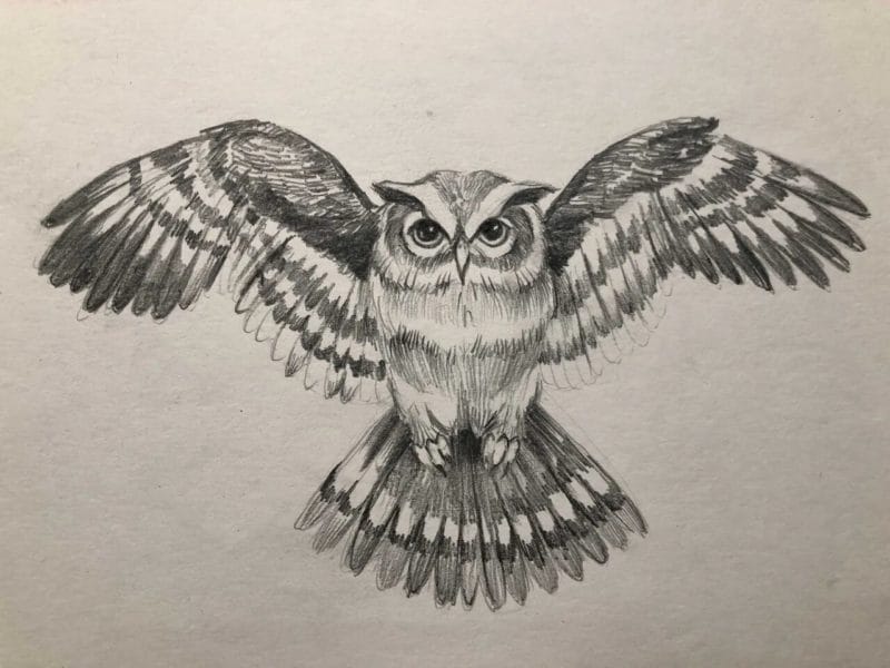 Как рисовать сову: 75 лучших рисунков карандашами и не только #62