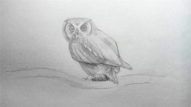Как рисовать сову: 75 лучших рисунков карандашами и не только #64